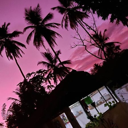 Wine Tree Garden Guesthouse Mirissa Exterior foto