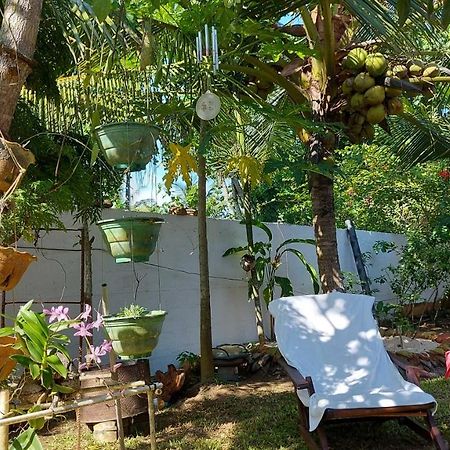 Wine Tree Garden Guesthouse Mirissa Exterior foto