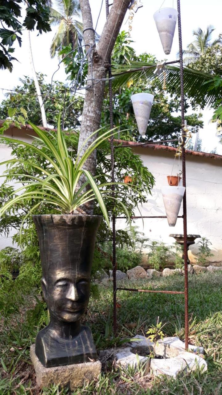 Wine Tree Garden Guesthouse Mirissa Exterior foto